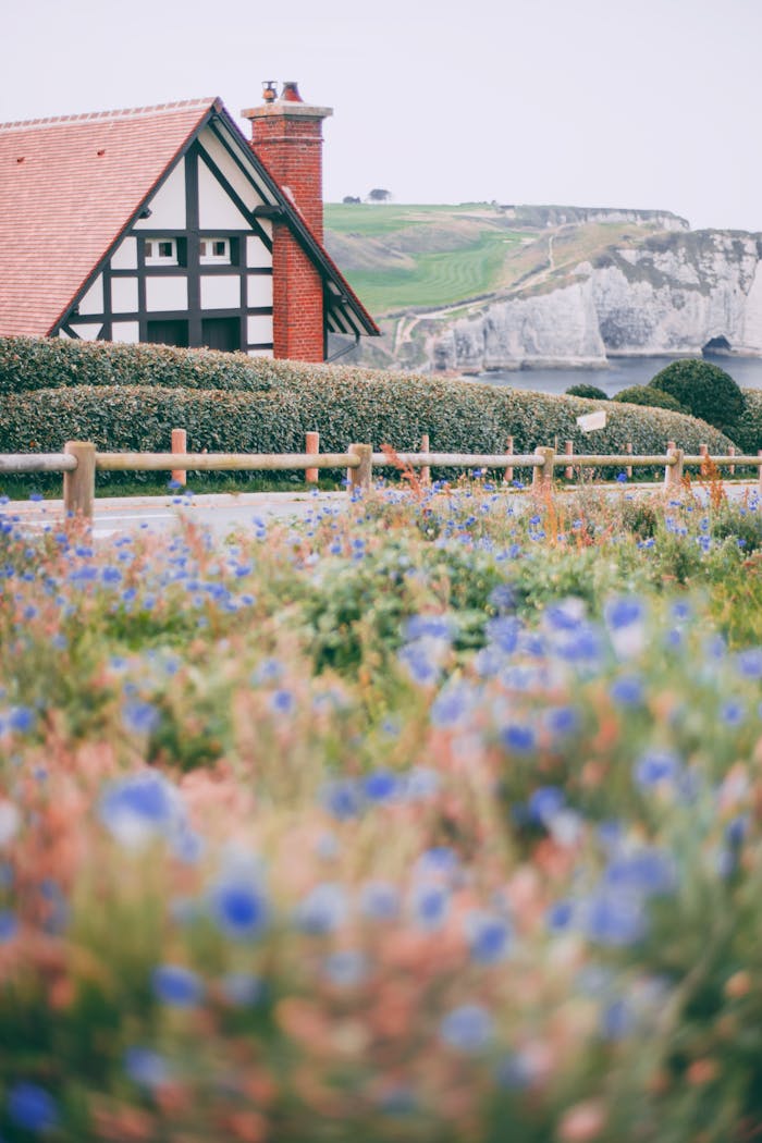 Picturesque cottage surrounded by vibrant wildflowers and coastal cliffs.